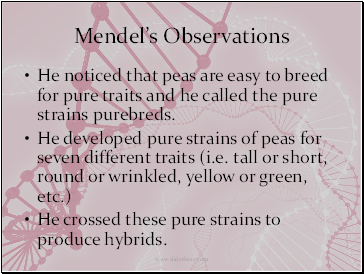 Mendels Observations