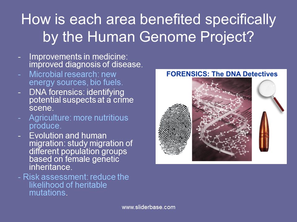 A view on the humane genome project