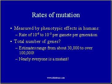 Rates of mutation