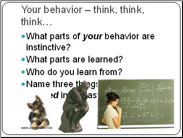 Your behavior  think, think, think