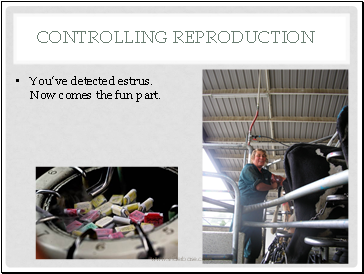 Controlling Reproduction