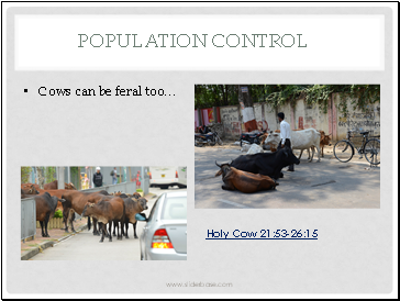 Population control
