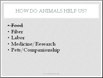 How do animals help us?