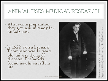 Animal Uses-medical research