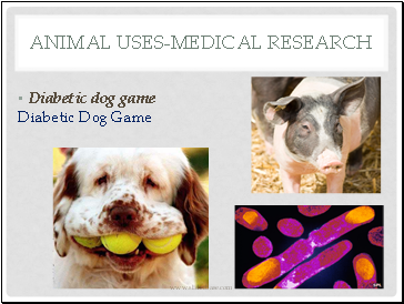 Animal Uses-medical research