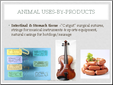 Animal Uses-by-products