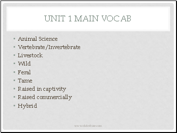 Unit 1 Main vocab