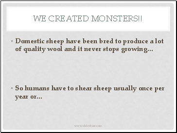 We created monsters!!