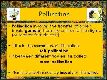 Pollination