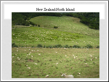 New Zealand-North Island