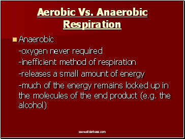 Aerobic Vs. Anaerobic Respiration