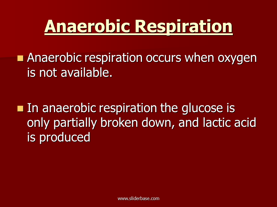 anaerobic vs aerobic respiration