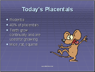 Todays Placentals