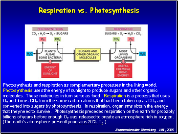 Respiration vs. Photosynthesis