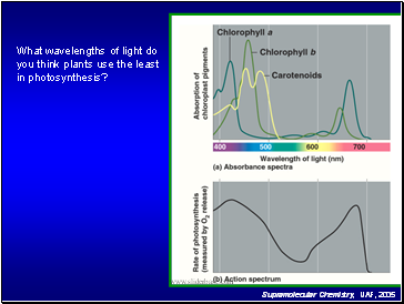 What wavelengths of light do you think plants use the least in photosynthesis?