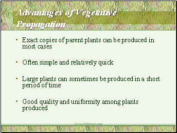 Advantages of Vegetative Propagation