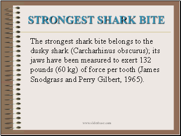 Strongest Shark Bite