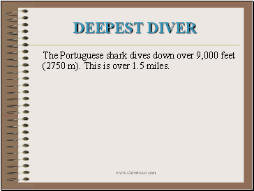 Deepest Diver