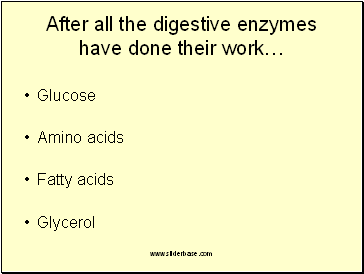 After all the digestive enzymes have done their work