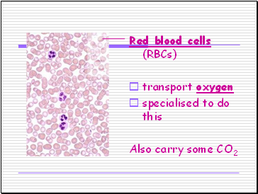 Red blood cells (RBCs)