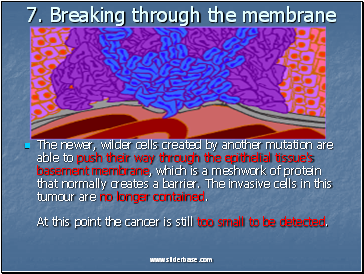 7. Breaking through the membrane