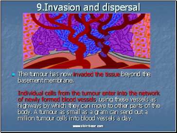 9.Invasion and dispersal