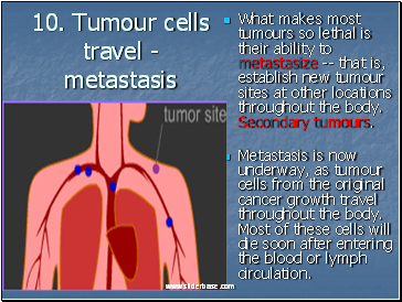 Tumour cells travel - metastasis