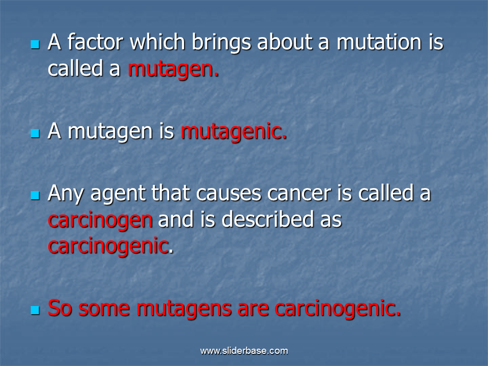 What is the difference between a mutagen and a carcinogen?