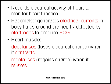 Records electrical activity of heart to monitor heart function.