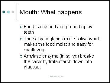 Mouth: What happens