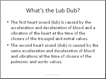 Whats the Lub Dub?