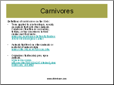 Definitions of carnivores on the Web: