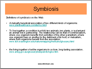 Definitions of symbiosis on the Web: