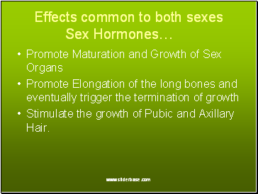 Effects common to both sexes Sex Hormones