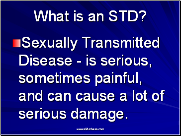 What is an STD?