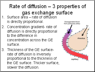 Rate of diffusion  3 properties of gas exchange surface