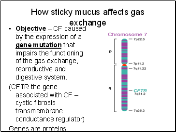 How sticky mucus affects gas exchange