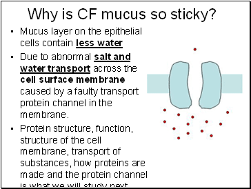 Why is CF mucus so sticky?