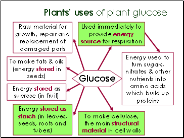 Plants uses of plant glucose