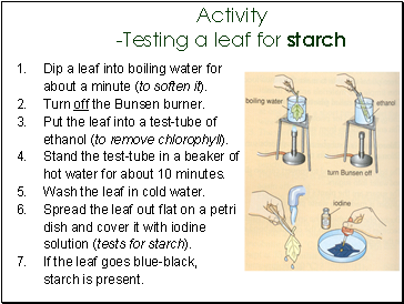 Activity -Testing a leaf for starch