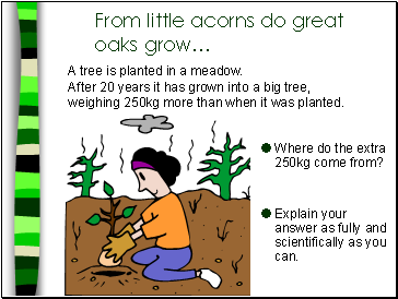 From little acorns do great oaks grow