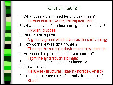 Quick Quiz 1