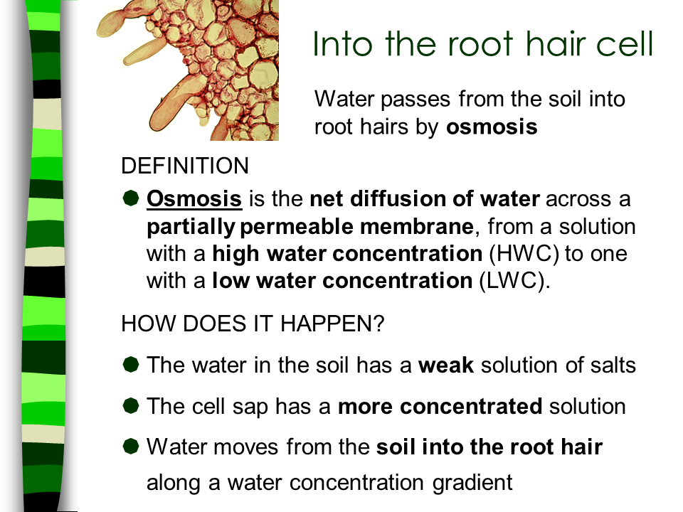 Outer layer bottom surface