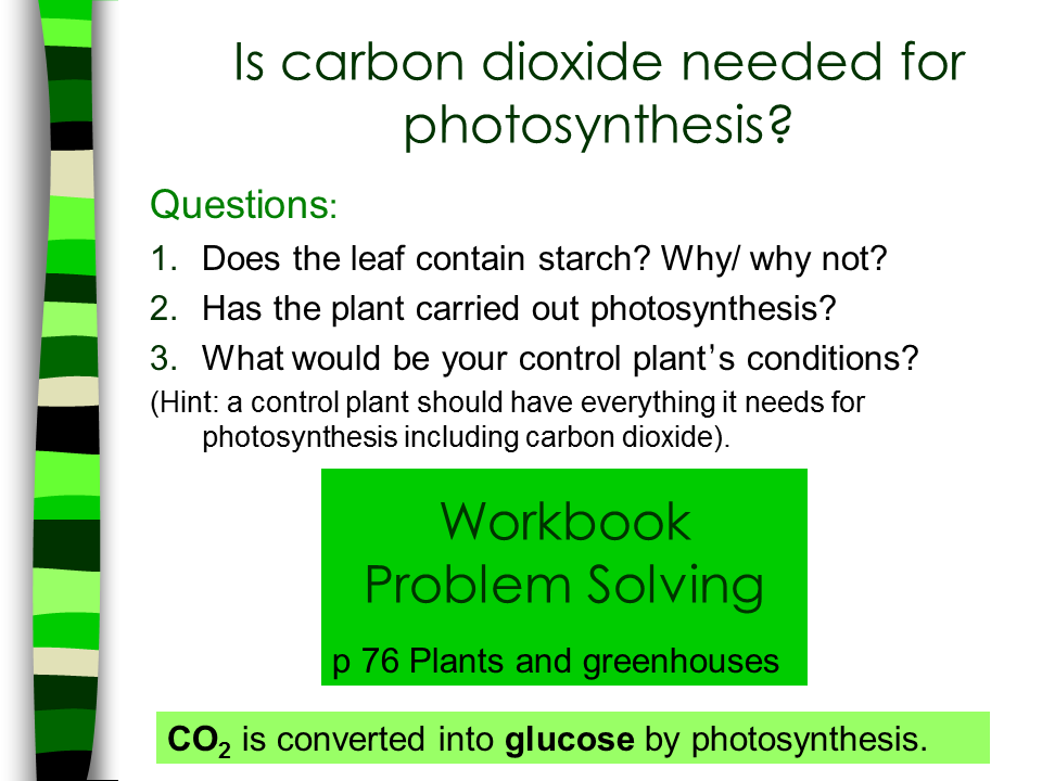 Gas Necessary For Photosynthesis