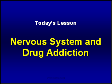 Todays Lesson Nervous System and Drug Addiction