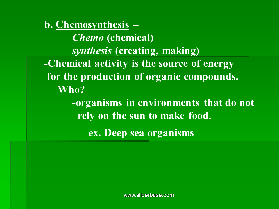 Reactants and products of chemosynthesis