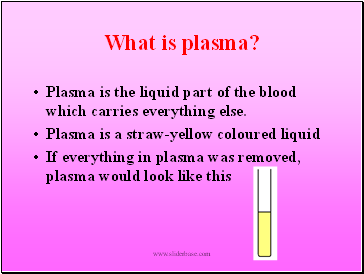 What is plasma?