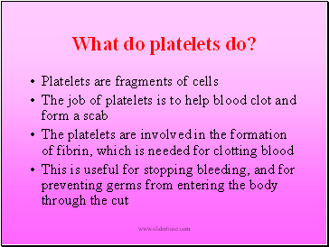 What do platelets do?