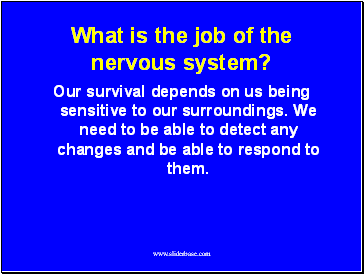 What is the job of the nervous system?