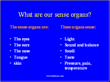 What are our sense organs?